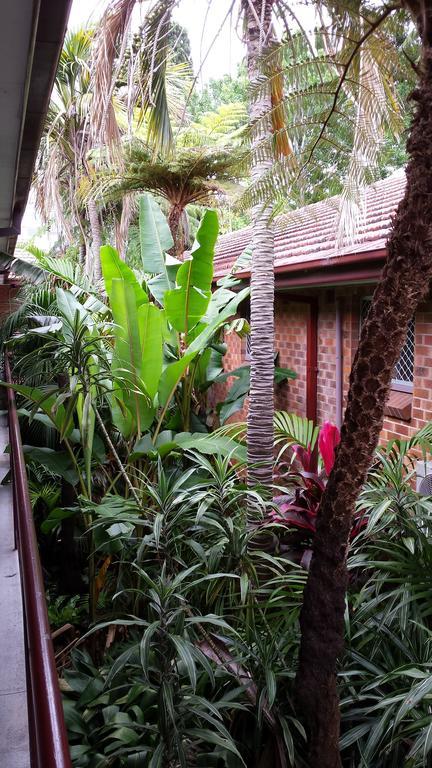 Flinders Motel Wollongong Luaran gambar